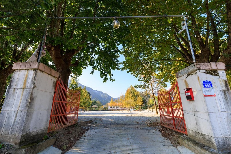 시골학교캠핑장 시설 사진 15