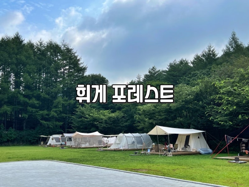 강원도 평창 오토캠핑장 추천 전설의 휘게 포레스트 성지 코스...