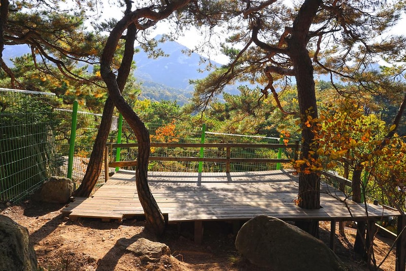 북한산농바위캠핑장 시설 사진 7