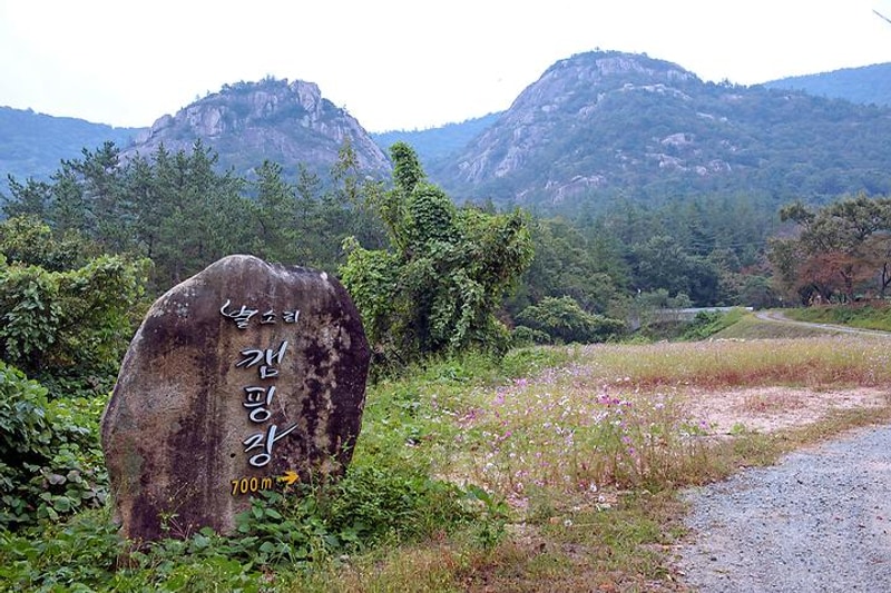 주작산 별소리캠핑장 대표 사진