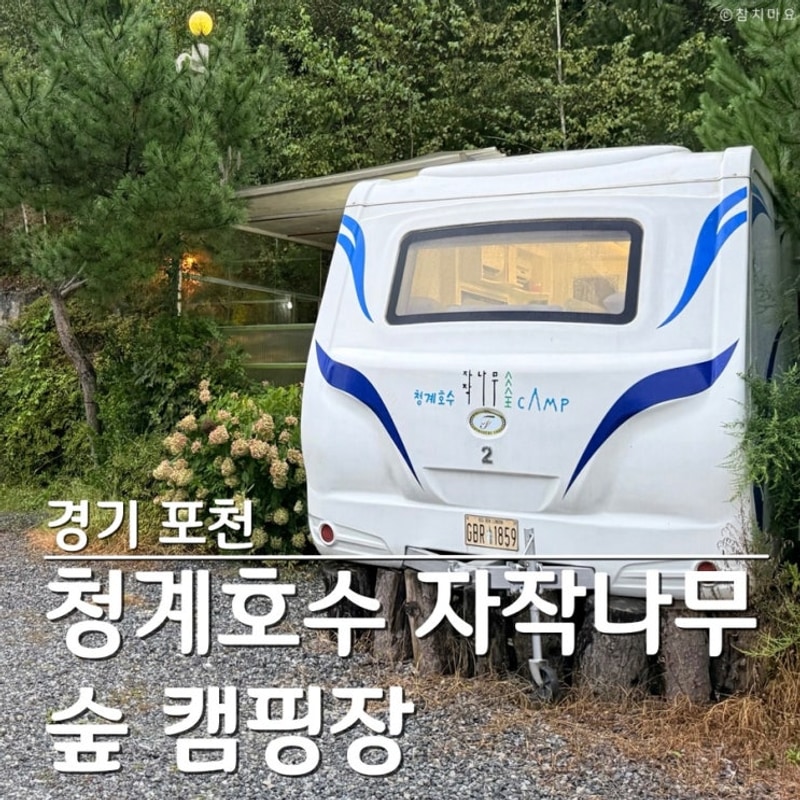 포천 청계호수 자작나무 숲 캠핑장 호수 앞 감성 카라반 스파...