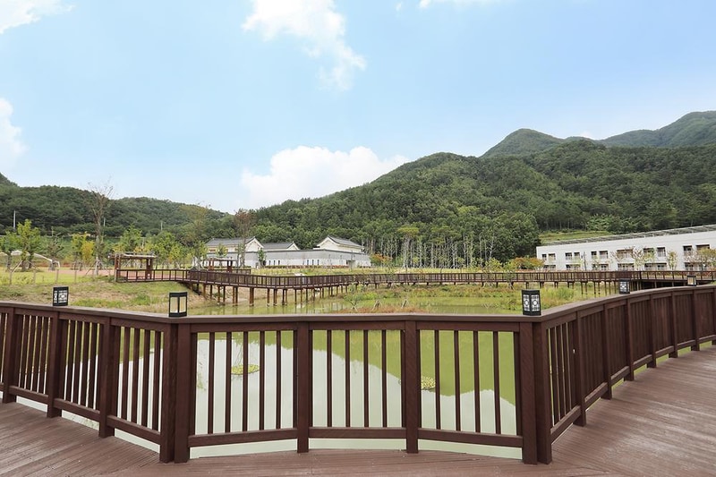 청도신화랑 풍류마을 오토캠핑장 시설 사진 4