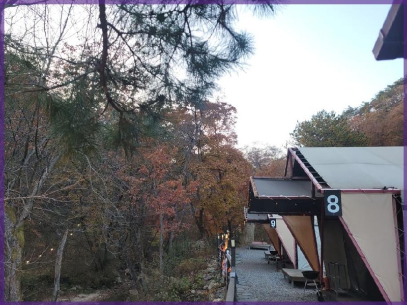 포천 도평리의 산중호걸 글램핑카라반에서 특별한 경험을...