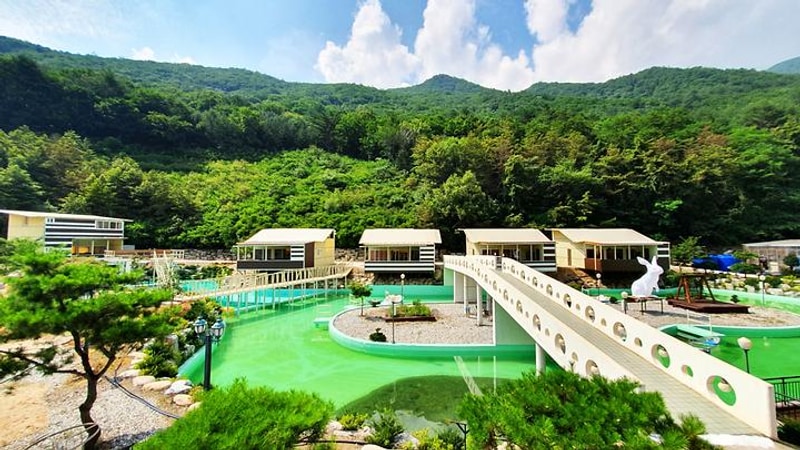 드위트리 글램핑 대표 사진