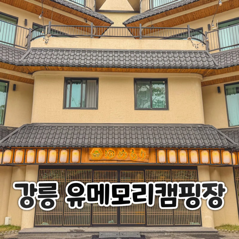 강릉 일본 감성 스타일의 유메모리 캠핑장 명당 리뷰