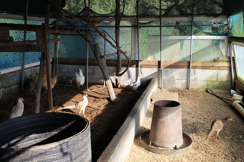 여수자매로캠핑장 시설 사진 14