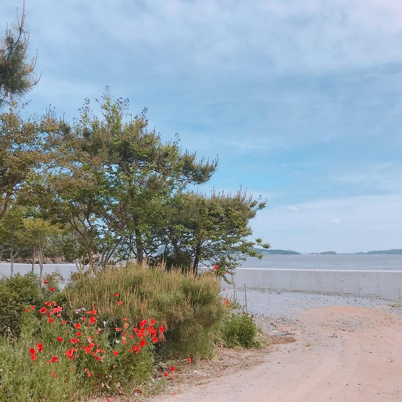 팔봉갯벌체험야영장 시설 사진 16