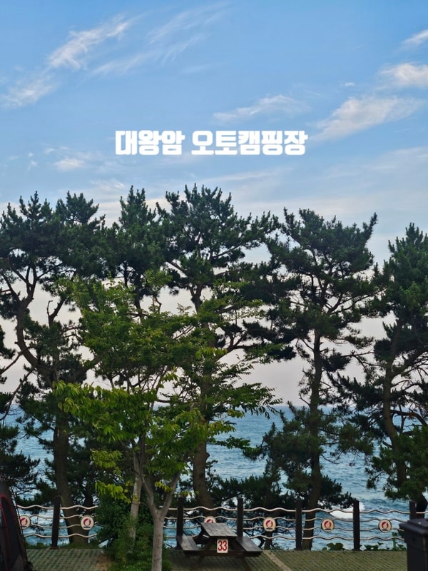 울산 캠핑장 추천 대왕암오토캠핑장 캐빈형 카라반 이용후기