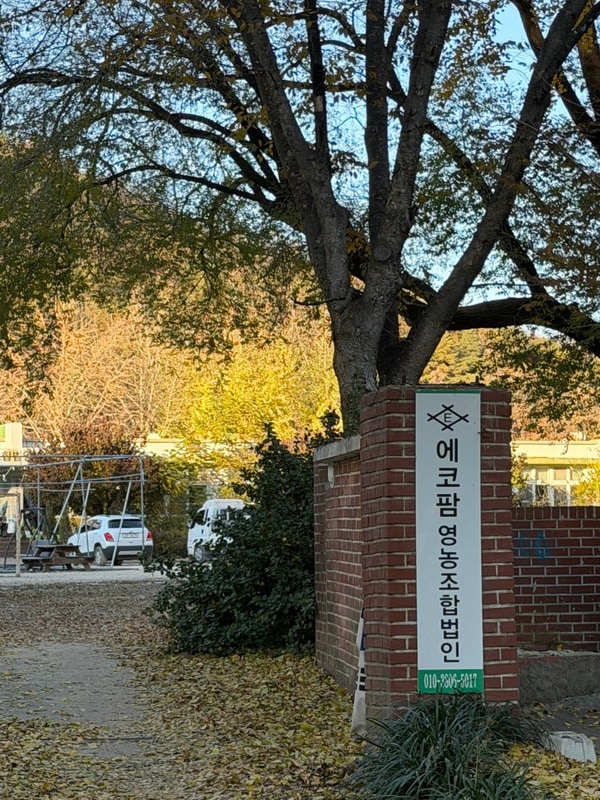 포항 애견동반 장박이 가능한 에코팜 부설 오토캠핑장