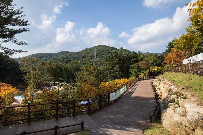 동두천 자연휴양림 시설 사진 6