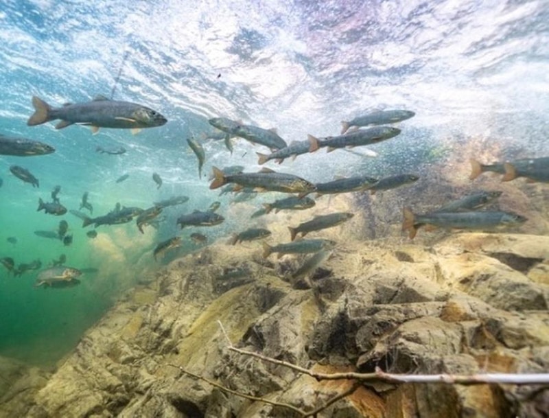 칡소폭포 캠핑장 시설 사진 6