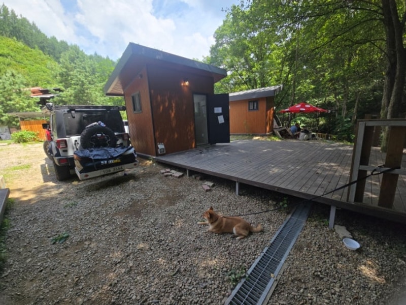 평창 가족캠핑 솔비알 캠핑장 1박2일  계곡물놀이 단독화장실...