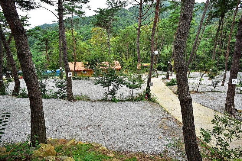 두레관광농원 아리솔캠핑장 시설 사진 7