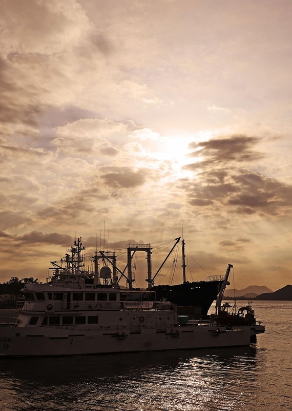 통제영오토캠핑장 시설 사진 16