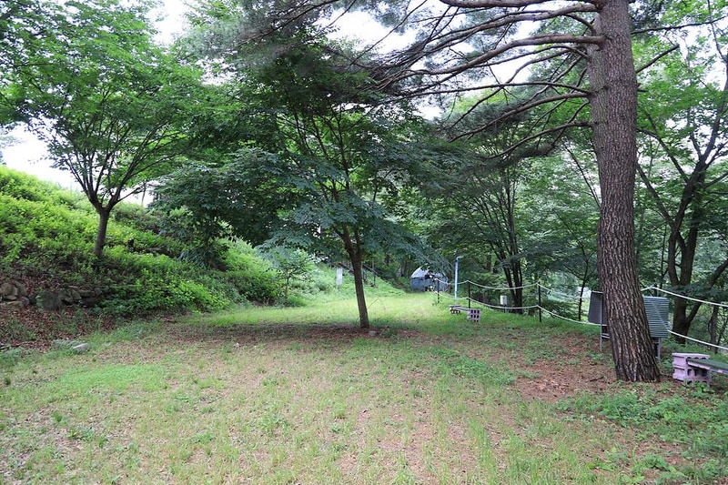 홍천 무네미 별마루 관광농원 시설 사진 5