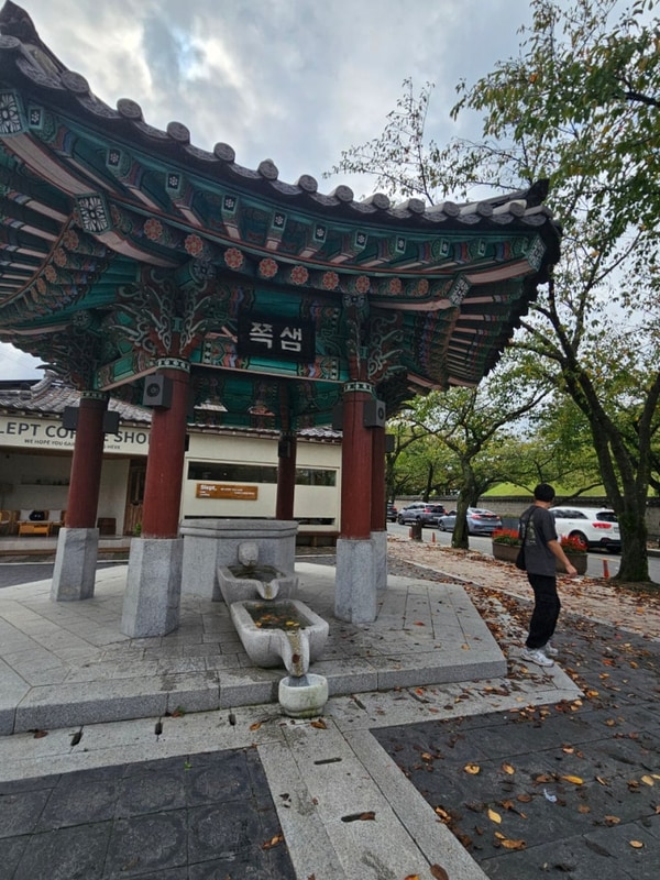 경주여행2일차 - 경주대릉원... 일식돈까스, 별자리캠핑랜드 -