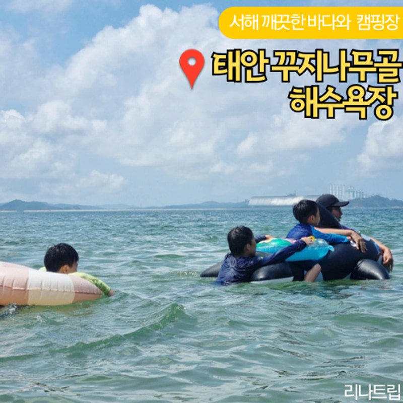 서해 깨끗한 바다 태안 꾸지나무골 굼벵이캠핑장 명당 예약...