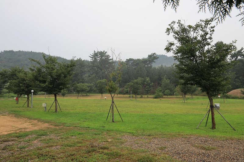 숲속의드림캠프야영장 시설 사진 14