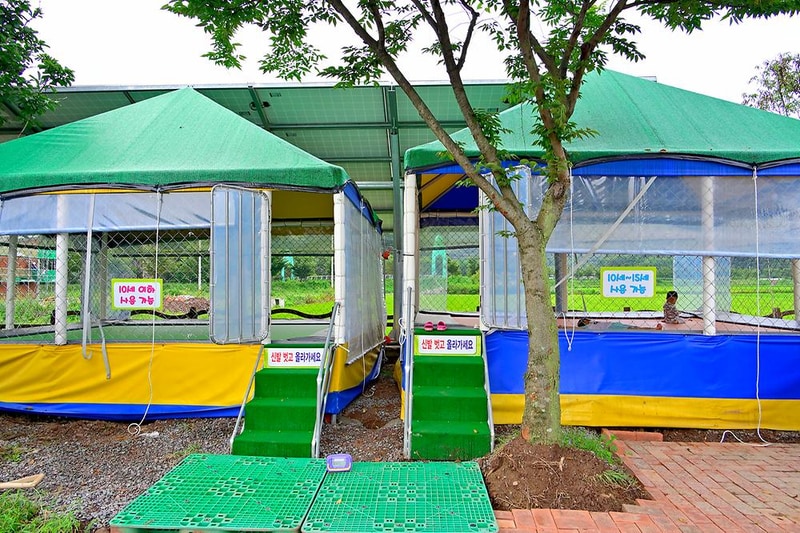 유곡면 농촌체험랜드 시설 사진 11