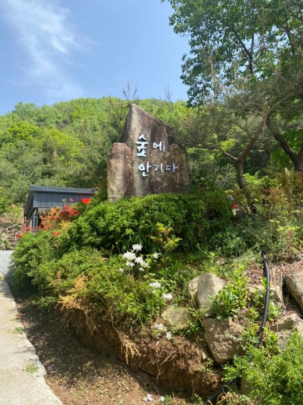 핫~하다는.숲속의 캠핑장    고령 : 숲에 안기다 캠핑장