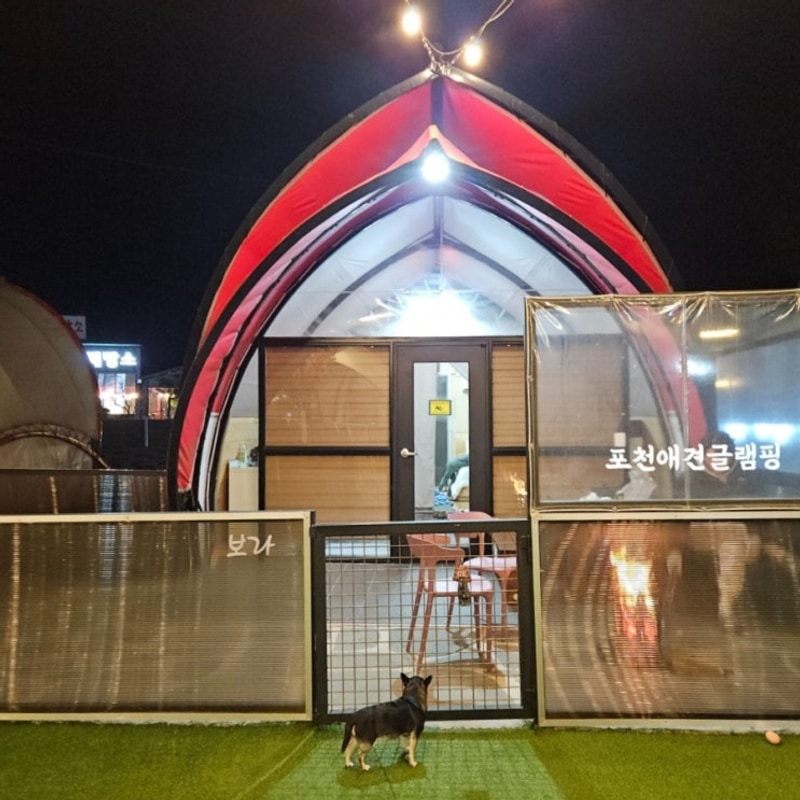포천애견글램핑 서울근교 1시간거리 포천글램핑 쏘쿨이네글램핑