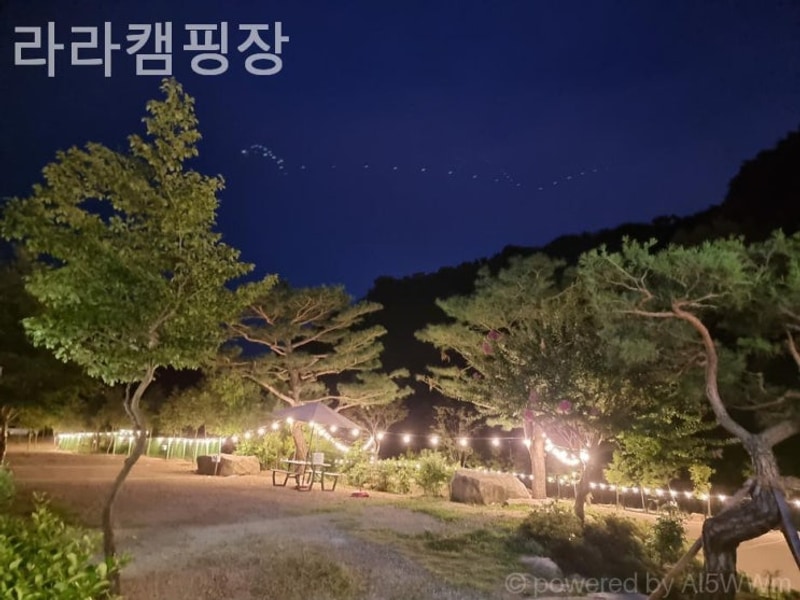 경주 캠핑장 라라캠핑장 일상의 무게를 덜어주는 힐링 공간