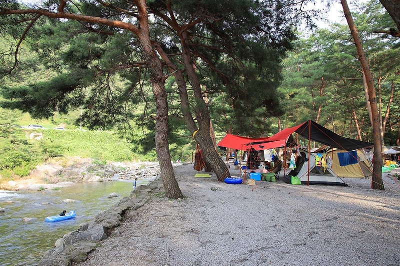 내리계곡 솔밭캠핑장 시설 사진 19