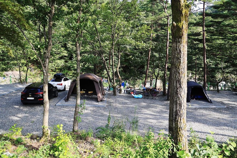 법수치오토캠핑장 시설 사진 23