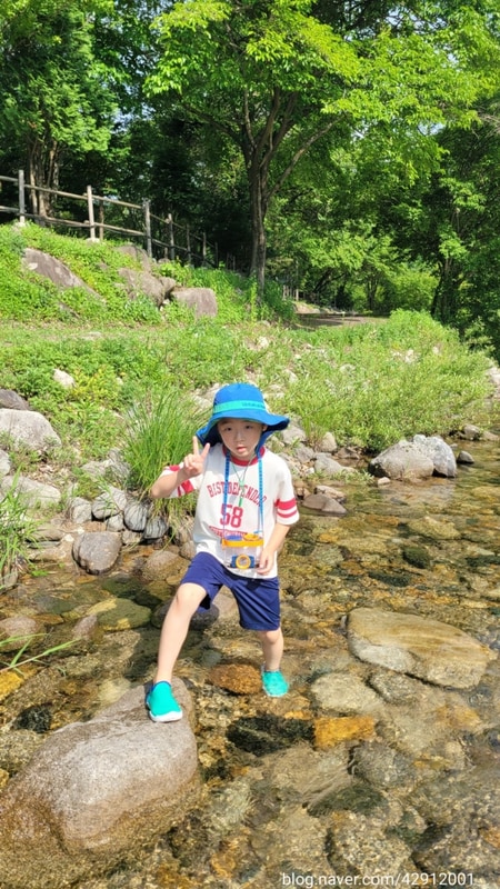 모야의숲 캠핑장♡강추♡ 아이랑 갈만한 횡성 캠핑장...