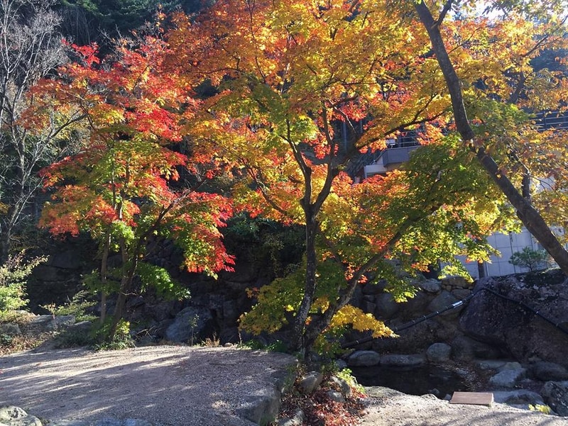 진틀펜션캠핑장 시설 사진 33