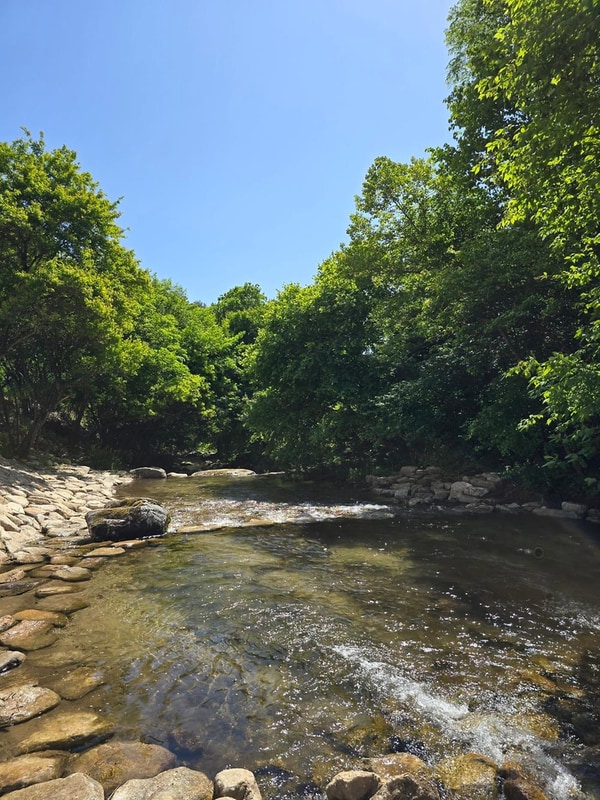 평창 별내림계곡캠핑장 시설 사진 13