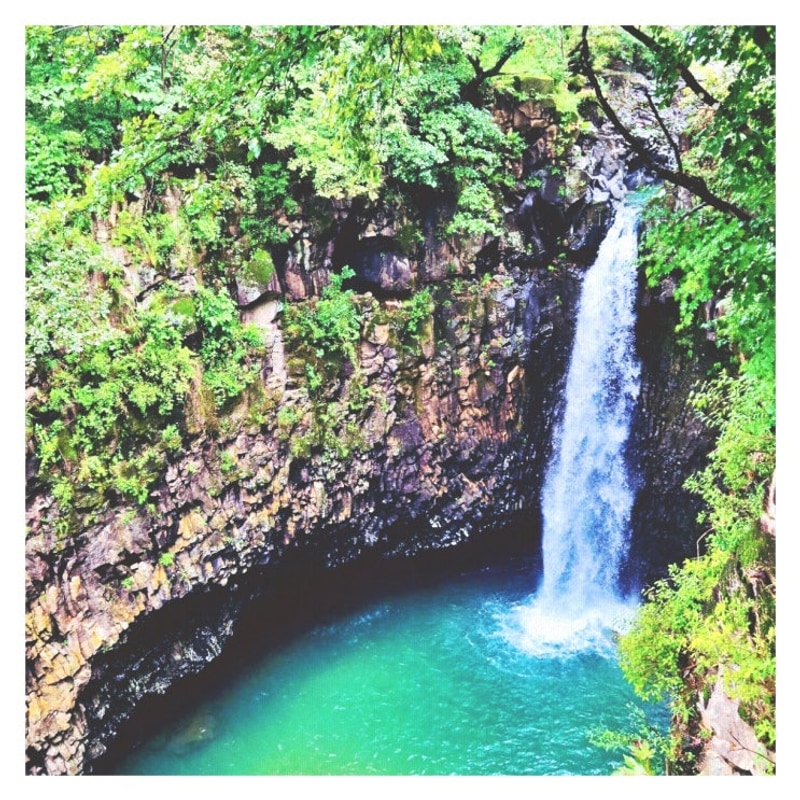 순천 개랭이 오토캠핑장 자연 속 힐링과 가족 나들이 이야기