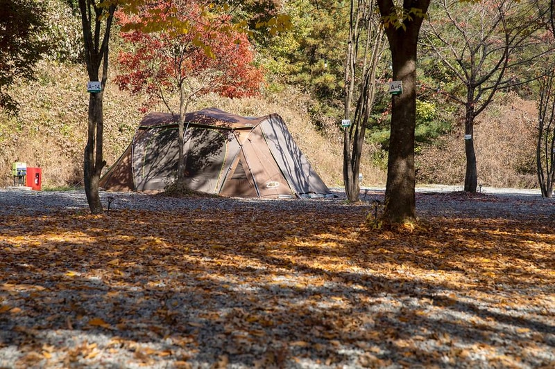 깊이울 달빛 캠핑장 시설 사진 13