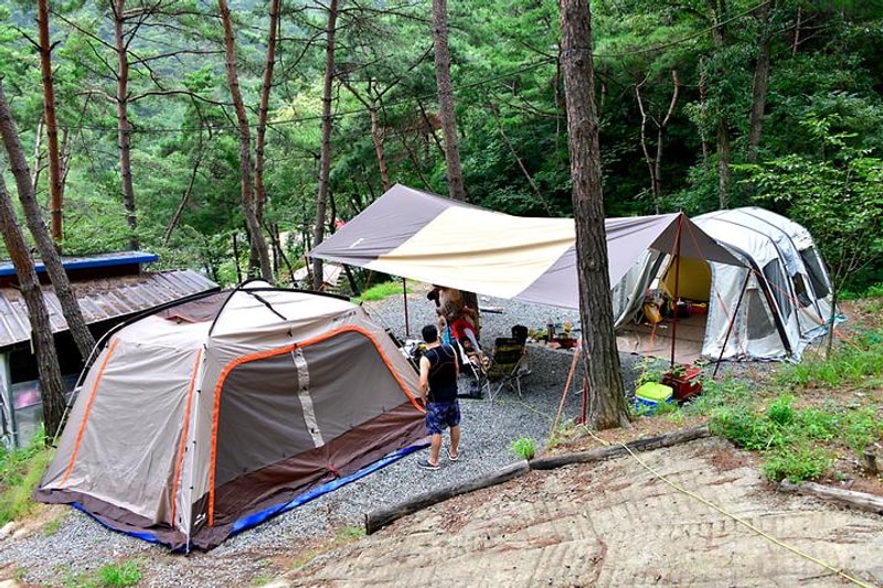 꿈꾸는 캠핑장 대표 사진