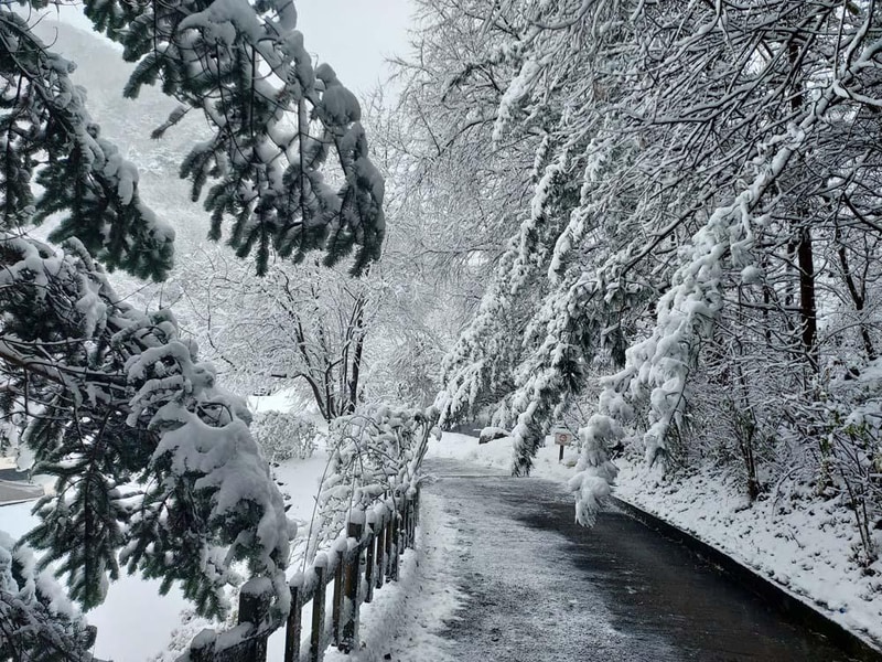 횡성산울림오토캠핑장 시설 사진 16