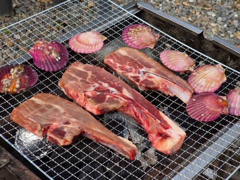 군포 초막골 생태공원 느티나무 야영장 글램핑 캠핑장