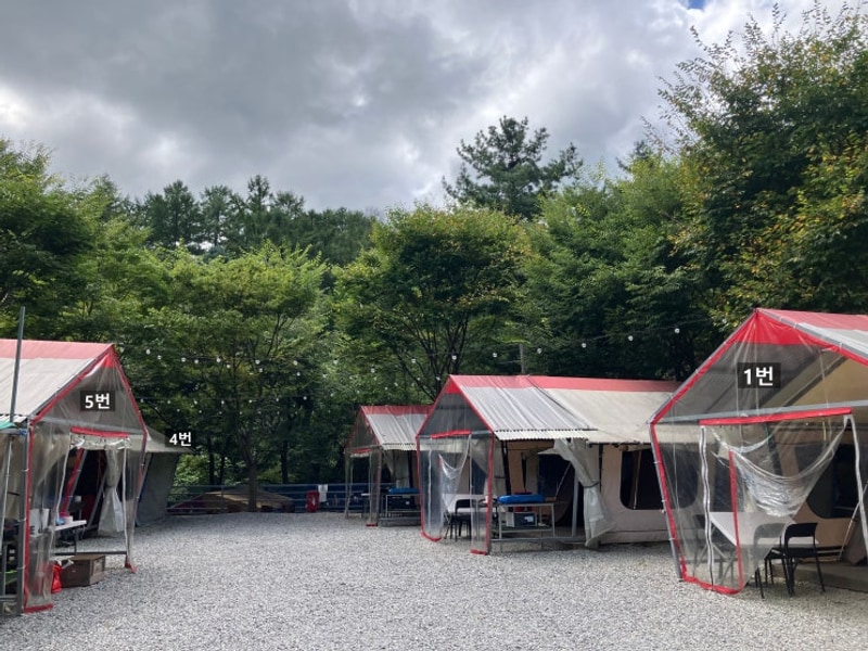 가평 키즈캠핑장 유명산라온캠핑장 이지캠핑존 후기