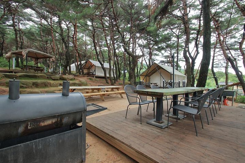 블루마운틴 대표 사진