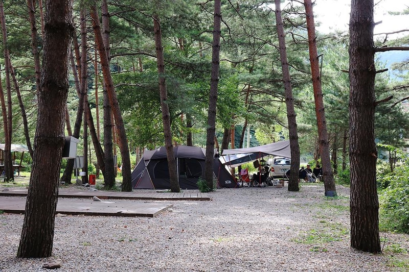 물가솔솔캠핑장 시설 사진 13