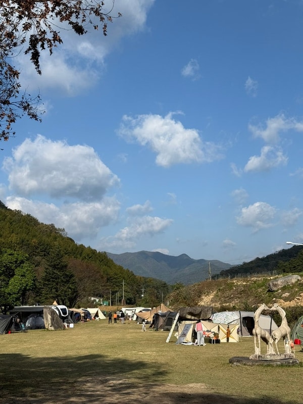 문경 수예리 오토캠핑장 2박3일 애견카페정모꼽사리 w....