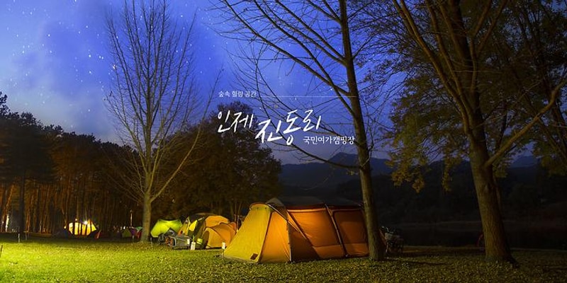 진동리 국민여가캠핑장 by zapza 대표 사진
