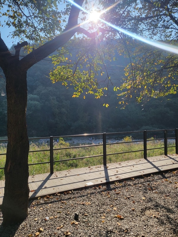 경기도 가평 화랑캠핑장 3일차(+자라섬 남도 꽃정원...