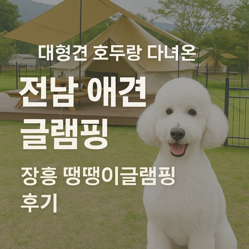 대형견 호두랑 다녀온 전남 애견 글램핑, 장흥 땡땡이글램핑 후기