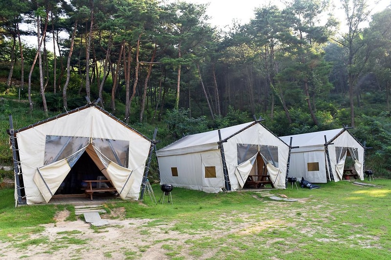 휴식관광농원캠핑장 시설 사진 10