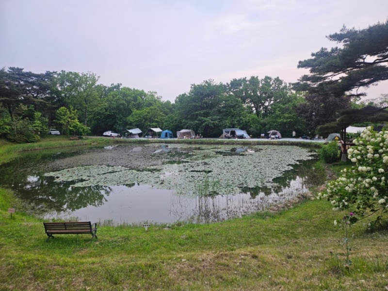 인천 캠핑장 추천 우니메이카 강화점 17번 사이트 조용하고 뷰...