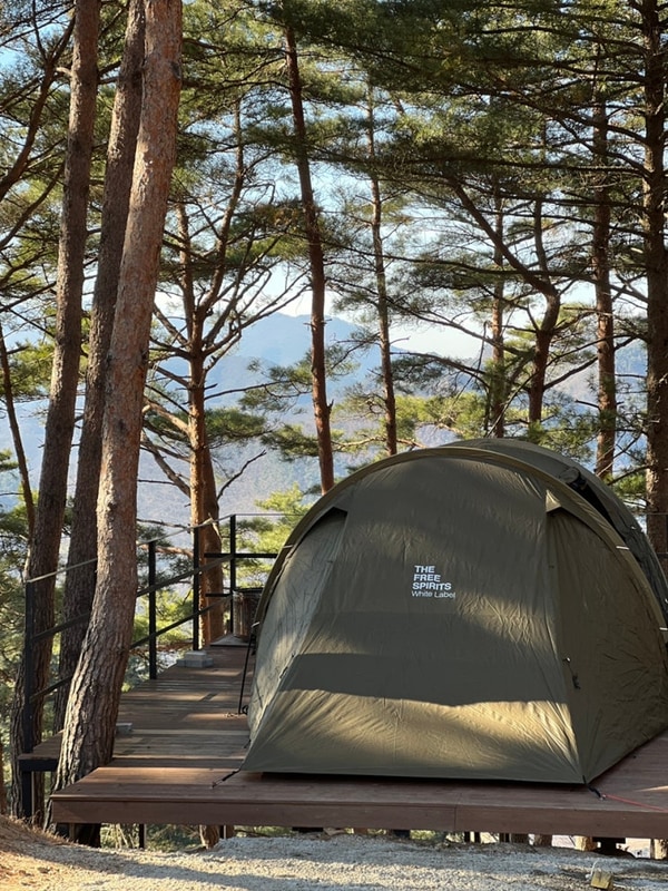 캠핑이자 결혼 후 첫 캠핑❣️(feat. 영월 구름품은캠핑장)