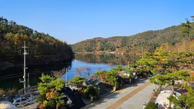 [캠핑] 포천 청계호수자작나무숲 캠핑장