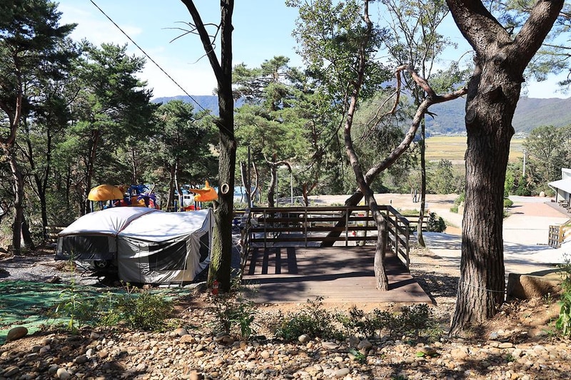 강화도 아침 숲속야영장 시설 사진 29