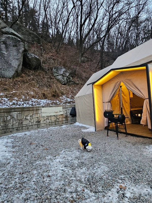 [애견동반] 양주 캠프랩 당일치기바베큐장