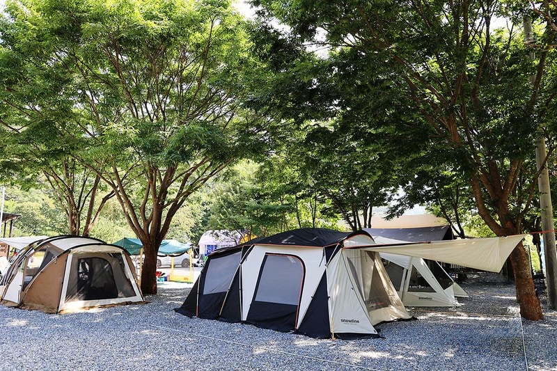 새솔캠핑장&펜션 시설 사진 3